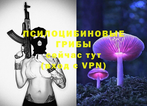 шишки Иннополис