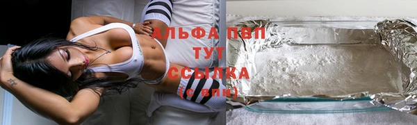 шишки Иннополис