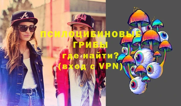 дживик Инсар