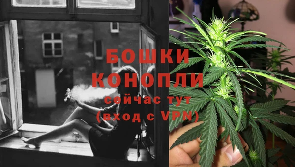 дживик Инсар