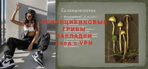шишки Иннополис